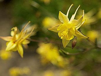 《战神：诸神黄昏》MC均分94 多家媒体给出满分